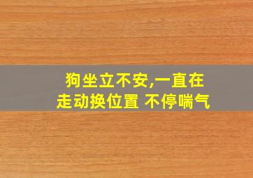 狗坐立不安,一直在走动换位置 不停喘气